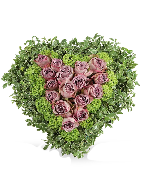Cuore di